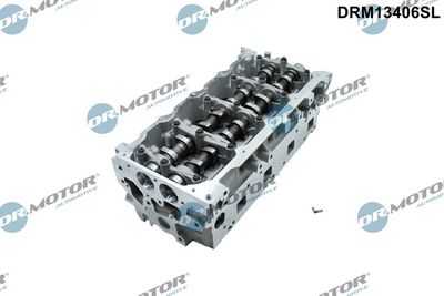 Hlava válce Dr.Motor Automotive DRM13406SL