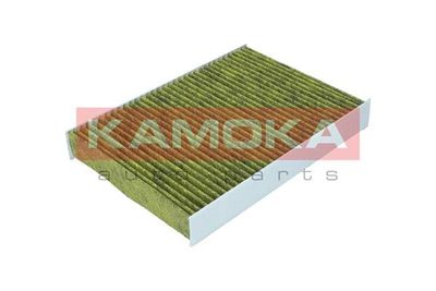 Filter, cabin air 6080067