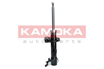 Shock Absorber 2000111