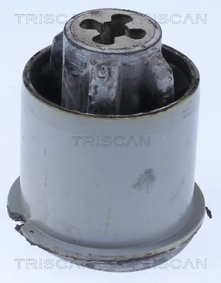 Łożyskowanie, korpus osi TRISCAN 8500 25876