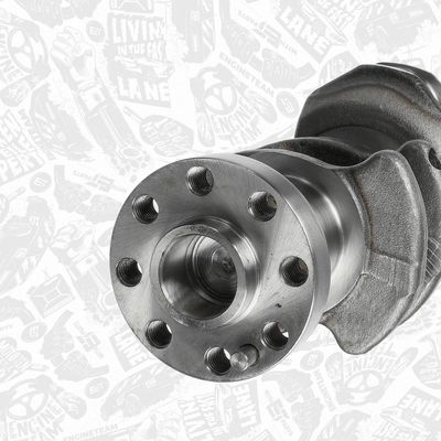 ARBORE COTIT ET ENGINETEAM HK0212 4