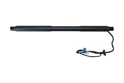 Galinių durų elektros variklis