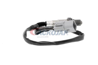 SONDA LAMBDA ACKOJA A53760012 49