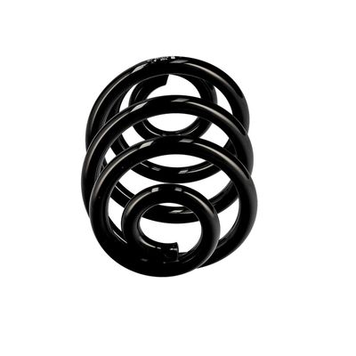 ARC SPIRAL EIBACH R10106 13