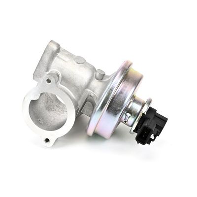 AGR-VENTIL DELPHI EG1040612B1 15