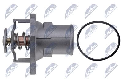 TERMOSTAT LICHID RACIRE NTY CTMPL033 2