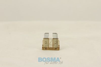 Kaitse BOSMA 1884