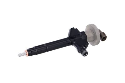 INJECTOR REMANTE 002003000191R 6