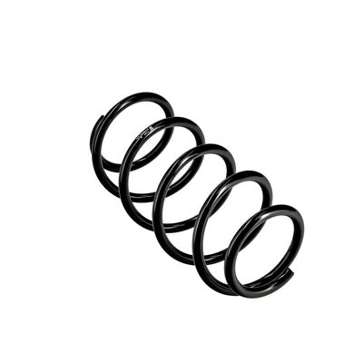 ARC SPIRAL EIBACH R10344 11