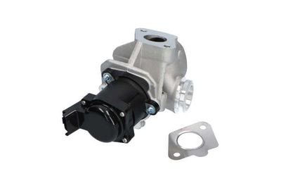 SUPAPA EGR Kavo Parts EEG8501 24