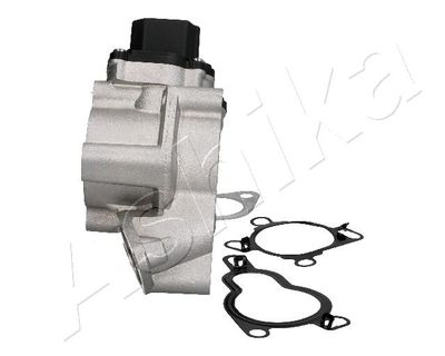 EGR Valve 150-01-113