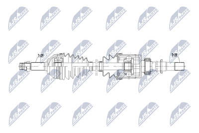 NPW-NS-171