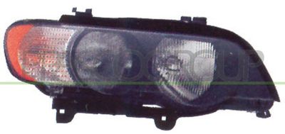 PRASCO BM8204913 Основная фара  для BMW X5 (Бмв X5)