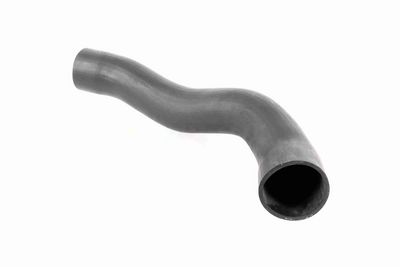 FURTUN EAR SUPRAALIMENTARE ACKOJA A379600 2