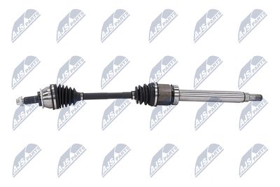 PLANETARA NTY NPWBM131 24