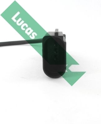 SENOR BATAI LUCAS SEB1277 1