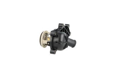 TERMOSTAT LICHID RACIRE NRF 725261 29