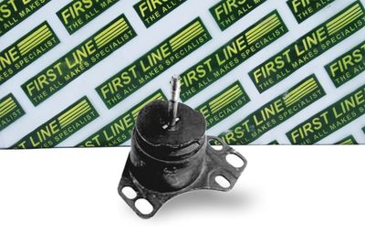 окачване, двигател FIRST LINE FEM3051