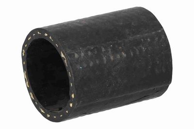 FURTUN EAR SUPRAALIMENTARE ACKOJA A701304