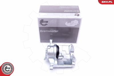 Brake Caliper 44SKV541