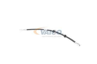 FURTUN FRANA VAICO V104226 6