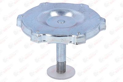 BUSON UMPLERE ULEI BIRTH 8081 5