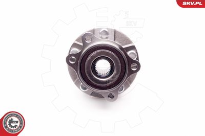 Wheel Bearing Kit 29SKV106