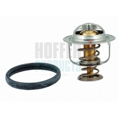 TERMOSTAT LICHID RACIRE