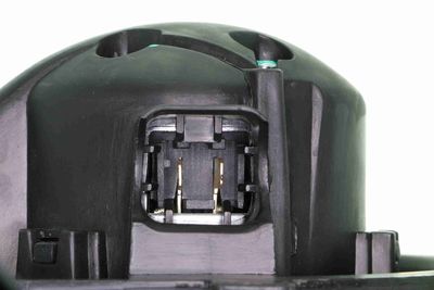 ANSAUGGEBLäSE INNENRAUMLUFT VEMO V15031924 1