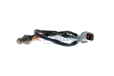SONDA LAMBDA ACKOJA A53760007 13