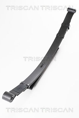 TRISCAN Federnpaket