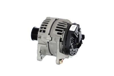 GENERATOR / ALTERNATOR REMANTE 011003000503R 18