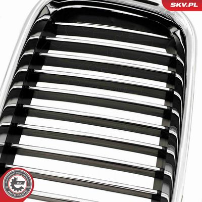 GRILA RADIATOR ESEN SKV 66SKV044 6