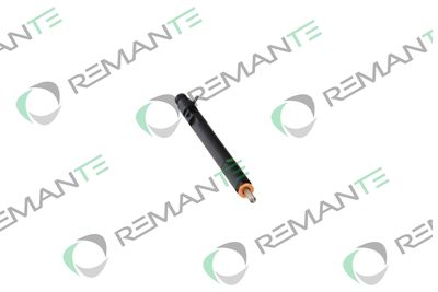INJECTOR REMANTE 002003002166R 4