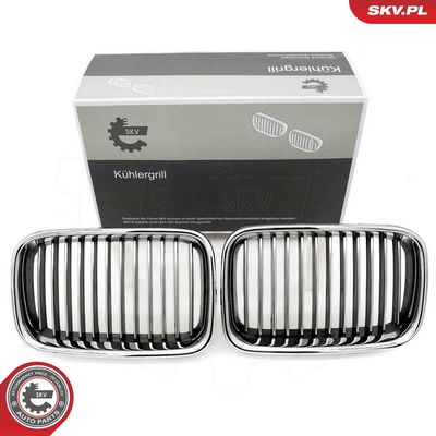 GRILA RADIATOR ESEN SKV 66SKV044 9
