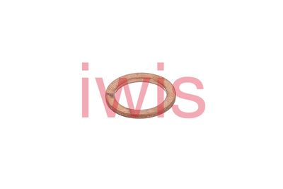 DICHTRING ÖLABLASSSCHRAUBE AIC 60471 1