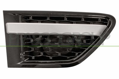 ELEMENTE DECORATIVE/PROTECTIE ARIPA PRASCO LR8021433