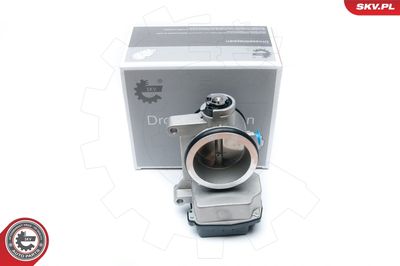 Throttle Body 12SKV051