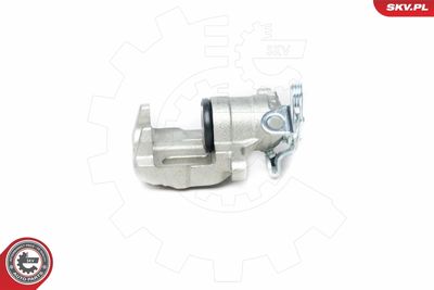 Brake Caliper 23SKV024