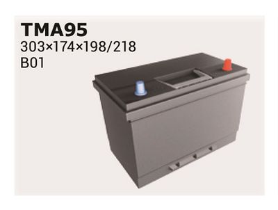 IPSA TMA95 Аккумулятор  для MAZDA 6 (Мазда 6)