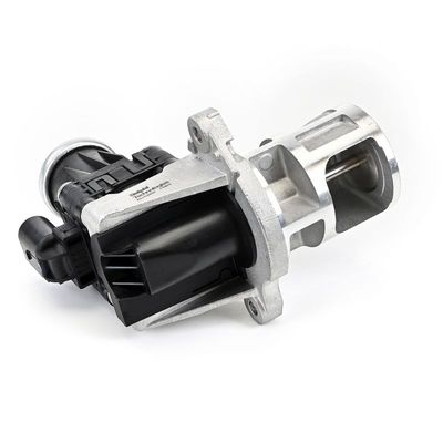 SUPAPA EGR DELPHI EG1065812B1 25