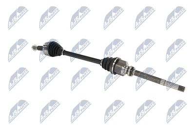 PLANETARA NTY NPWPE017 28