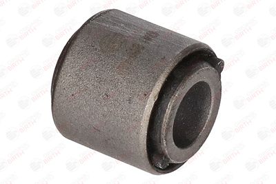 BUCSA ARBORE DE DIRECTIE BIRTH 4741 8