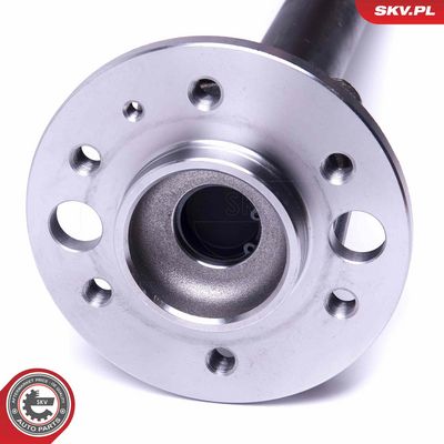 Rato guolio komplektas