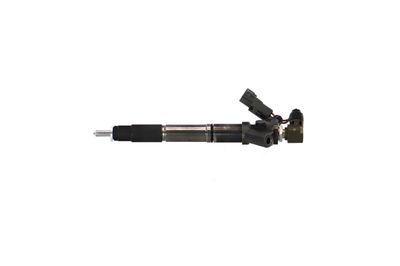INJECTOR REMANTE 002003001324R 9