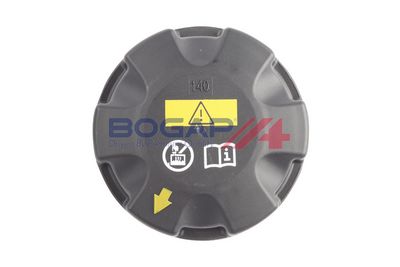 VAS DE EXPANSIUNE RACIRE BOGAP B4240138 4