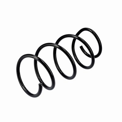 ARC SPIRAL EIBACH R10875 16