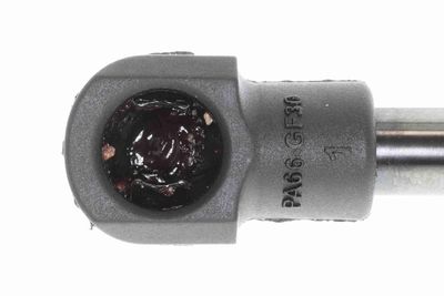 GASFEDER KOFFER-/LADERAUM VAICO V480319 8