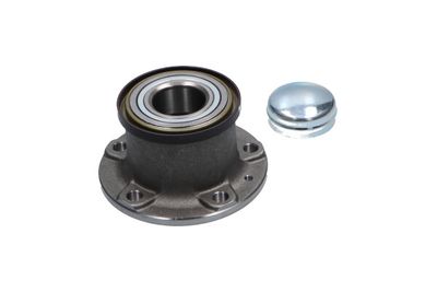 Wheel Bearing Kit WBK-10071