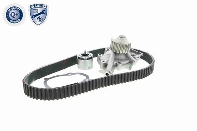 SET POMPA APA + CUREA DINTATA ACKOJA A510202W 8